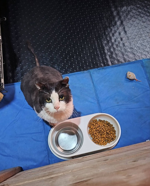 G DvkrZWYAAcPPy?format=jpg.jpg