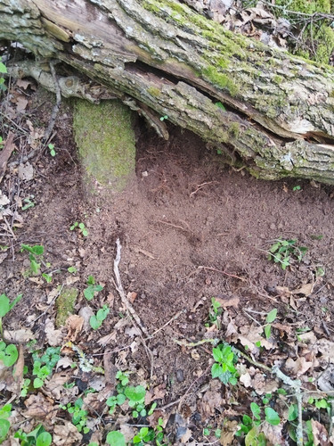 IMG 20260511 171145.jpg