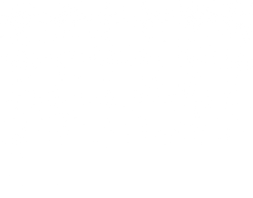 Untitled639 20260511100735.png