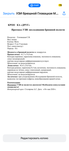IMG 9885.png