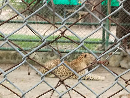IMG 20230625 WA0050.jpg