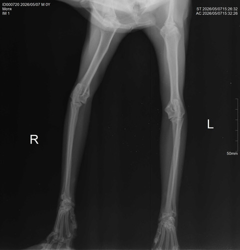 f6ad054f 477a 44e5 aeaa ed2a862edbc7.jpg