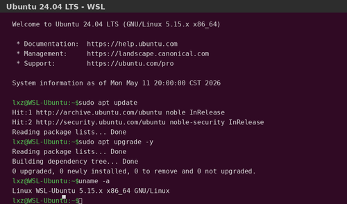 09 wsl terminal.png