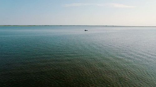 oyster farmers feature.jpg