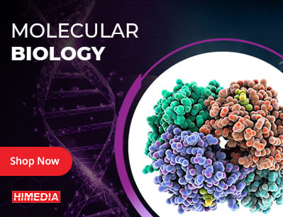 1762283691807 molecular biology.jpg