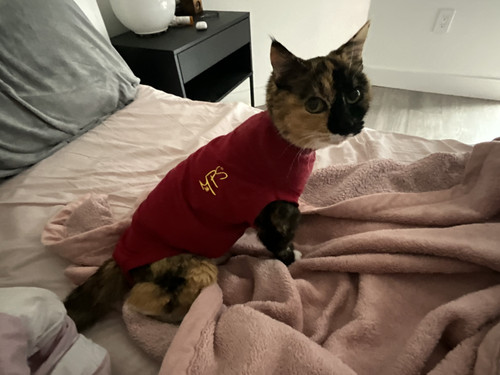 momo shirt.jpg