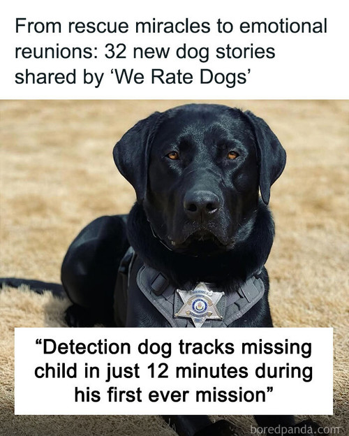 community sharing stories we rate dogs part 2.jpg