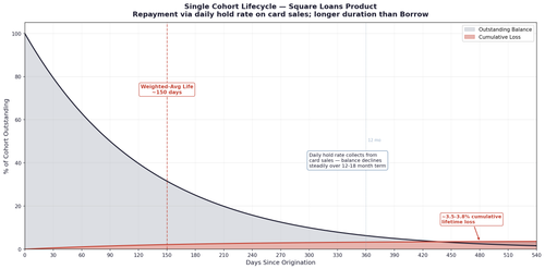 slide12 sq lifecycle 18mo.png