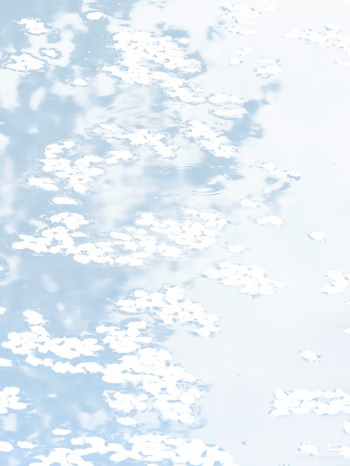 Image 1778551976835 27.jpg