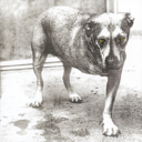 8ca093f002c0.png