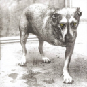 e126d32425c2.png