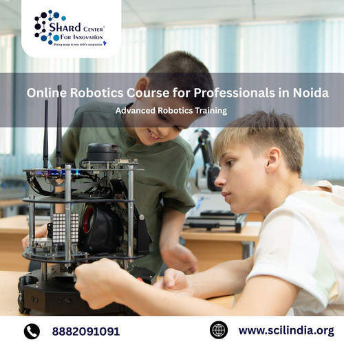 Online Robotics Course for Professionals in Noida.jpg
