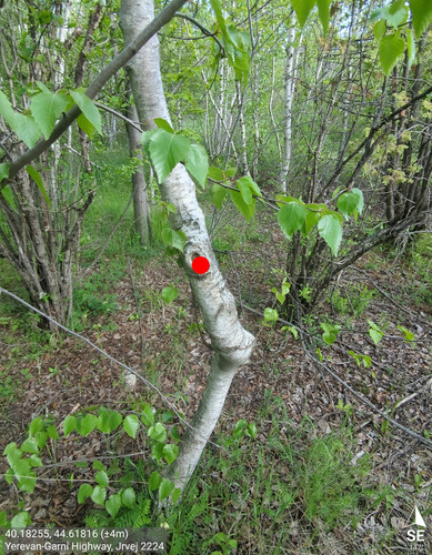 564.jpg