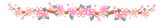 41429.gif