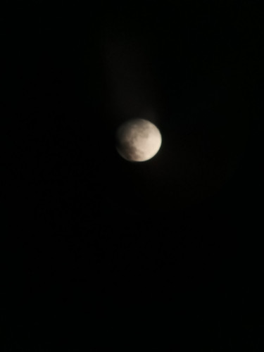 IMG 20251103 184512 259.jpg