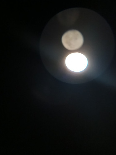 IMG 20251103 184945 810.jpg