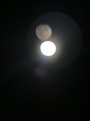IMG 20251103 184504 682.jpg