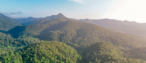 Aerial view of lush green trees in forest on mountains. Dense green tree captures CO2. Green tree na.jpg