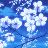 3877e92fb428.gif
