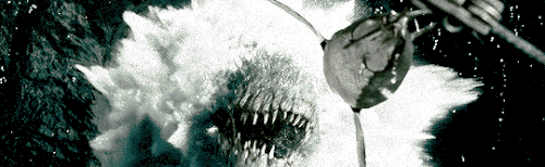 1000600022.gif
