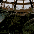1000600020.gif