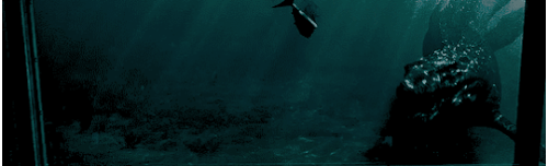 1000600023.gif