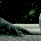 1000600025.gif