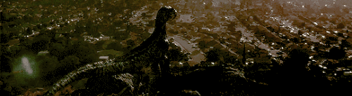 1000600018.gif