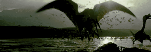 1000600019.gif
