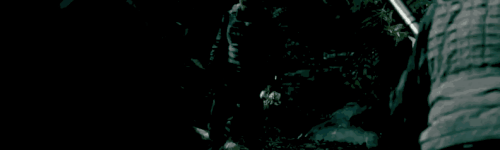 1000600024.gif