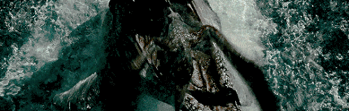 1000600021.gif