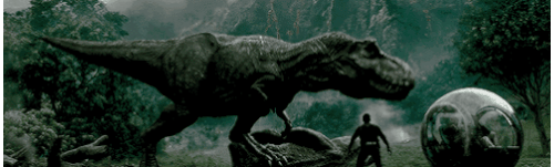 1000600016.gif