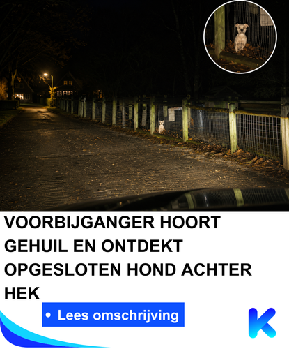 Koekeloeren 48 2026 05 13T040413.768.png