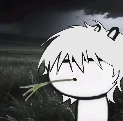 IMG 5858.png
