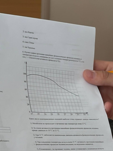file 135.jpg
