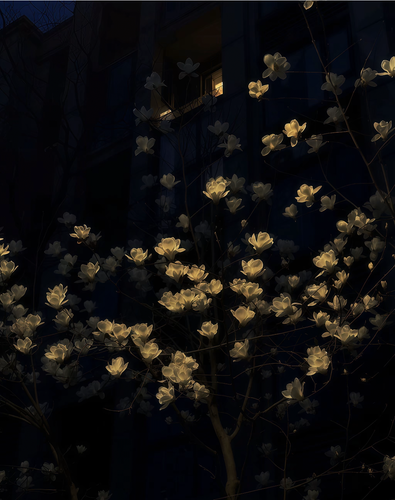 1000181011.png