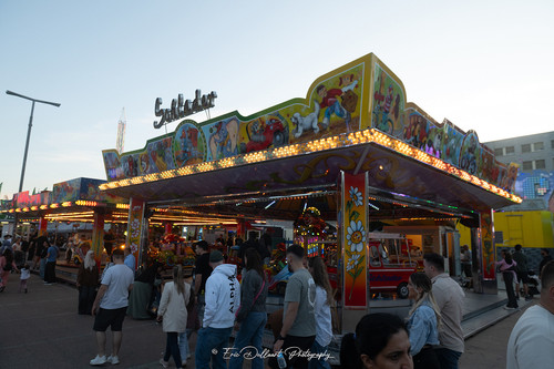 DSC 4234 kopie.jpg