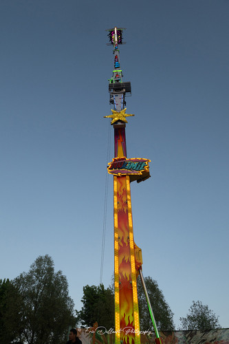 DSC 4245 kopie.jpg