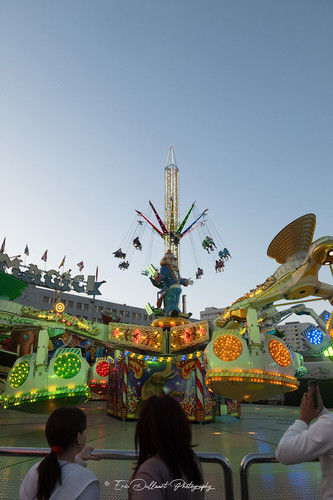 DSC 4250 kopie.jpg