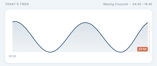 Screenshot 2026 05 11 at 22.50.50.png