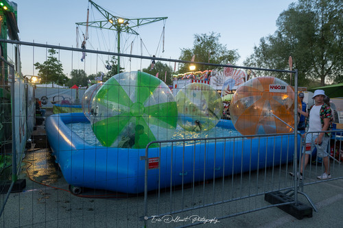 DSC 4224 kopie.jpg