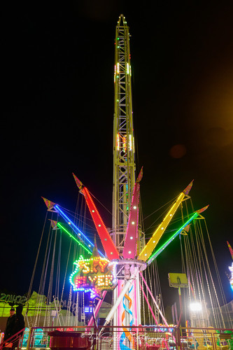 DSC 4365 kopie.jpg