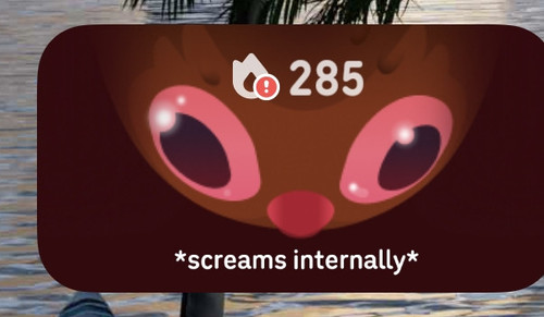 Screenshot 20260511 224656.jpg
