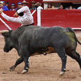 BbKE022.th.jpg