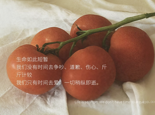 IMG 20260512 154423
