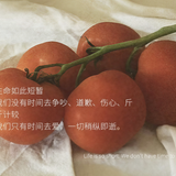 IMG 20260512 154423