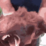 28425.gif