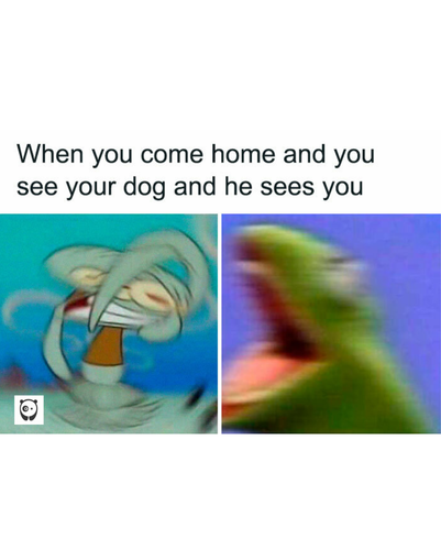 Dog.png