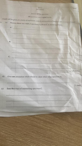 881857.jpg