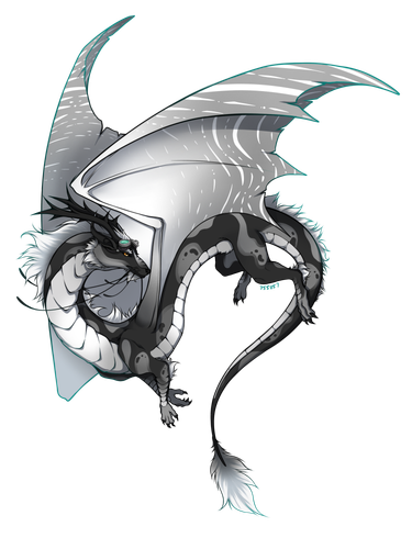 IMG 1928.png